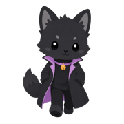 クールな黒猫